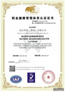 冠古ISO45001职业健康管理体系证书（中文）